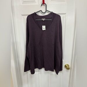 J.Jill V Neck Aubergine Long Sleeve Sweater Size 4X NWT
